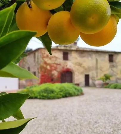 Gospodarstwo agroturystyczne Tenuta Di Sticciano