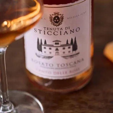 Tenuta Di Sticciano Gospodarstwo agroturystyczne Certaldo