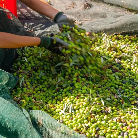 Tenuta Di Sticciano Alojamento de Turismo Rural