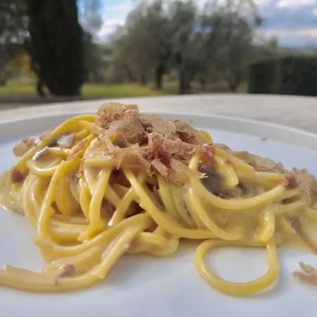 Tenuta Di Sticciano * Certaldo