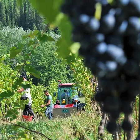 Tenuta Di Sticciano * Certaldo