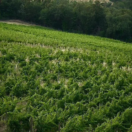 Alojamento de Turismo Rural Tenuta Di Sticciano *